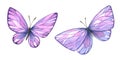 Lilac Butterflies With Graphic Elements, Stylized. Two Objects Isolated, Watercolor From A Large Lavender SPA Set. For