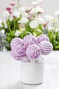 Lilac cake pops lavishly decorated with icing. Royalty Free Stock Photo