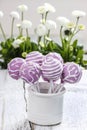 Lilac cake pops in white ceramic jar Royalty Free Stock Photo