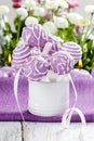 Lilac cake pops in white ceramic jar Royalty Free Stock Photo