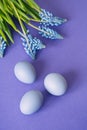 Lilac colored eggs for Easter next to muscari flowers on a lilac light background Royalty Free Stock Photo