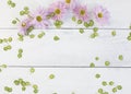 Lilac daisies and tiny green leaves scattered across white ship lap as a background with room for text