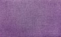Lilac fabric texture Royalty Free Stock Photo