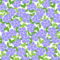 Purple periwinkle flowers braid seamless pattern.