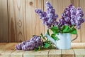 Lilac flovers in watering can on wood  background Royalty Free Stock Photo