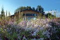 Lilac flower on the background of the building