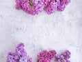 Lilac flower beautiful postcard spring on a gray concrete background