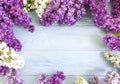 Lilac flower on blue wooden background frame beauty