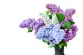 Lilac flower bouquet several colors in vase - Syringa vulgaris