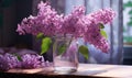 lilac flower in a mason jar, Royalty Free Stock Photo