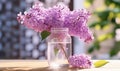 lilac flower in a mason jar, Royalty Free Stock Photo