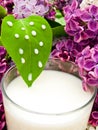 Lilac flower and milk Royalty Free Stock Photo