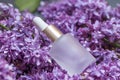 Lilac flowers aroma oil, flowers essential oil, pure essence Royalty Free Stock Photo