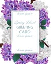 Lilac flowers beautiful card Vector. Spring floral holiday invitation cards Royalty Free Stock Photo