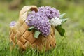 Lilac flowers in birchbark basket on grass Royalty Free Stock Photo