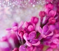 Lilac flowers on blurred glittering background