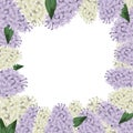 Lilac flowers border