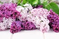 Lilac Flowers Bouquet Royalty Free Stock Photo