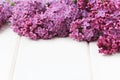 Lilac Flowers Bouquet Royalty Free Stock Photo