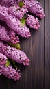 Lilac Flowers Bouquet on Wooden Plank Background, Spring Purple Blooming Bunch, Branch over Wood Texture Royalty Free Stock Photo