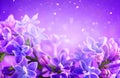 Lilac flowers bunch violet art design background. Beautiful violet Lilac flowers closeup