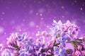 Lilac flowers bunch violet art design background. Beautiful violet Lilac flowers closeup