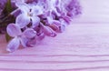 Lilac flowers composition macro color border vintage pink wooden spring beautiful Royalty Free Stock Photo