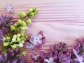 Lilac flowers composition template color border vintage pink wooden spring beautiful Royalty Free Stock Photo