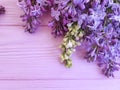 Lilac flowers composition template table border vintage pink wooden spring beautiful Royalty Free Stock Photo