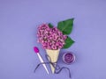 Lilac flowers in a cone with cosmetic cream. Royalty Free Stock Photo