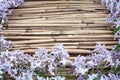 Lilac flowers on dry reed background Royalty Free Stock Photo