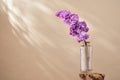 lilac flowers in glass vase with sunny shadows on beige