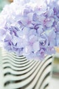 Lilac flowers hortensia Royalty Free Stock Photo