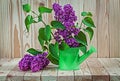 Lilac flowers in green watering can Royalty Free Stock Photo