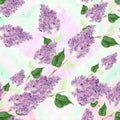 Lilac - flowers and leaves. Seamless pattern. Abstract wallpaper with floral motifs. Wallpaper. Royalty Free Stock Photo