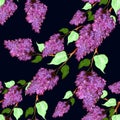 Lilac - flowers and leaves. Seamless pattern. Abstract wallpaper with floral motifs. Wallpaper. Royalty Free Stock Photo