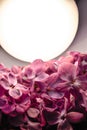 Lilac flowers are lit by a huge white light bulb Royalty Free Stock Photo