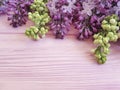 Lilac flowers composition springtime romantic table border vintage pink wooden spring beautiful Royalty Free Stock Photo
