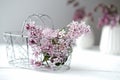 Lilac flowers in metallic basket on white table