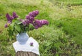 Lilac flowers in old blue porcelain vase or decanter on a wooden stump. Spring background in a garden Royalty Free Stock Photo