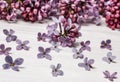 Lilac flowers on an old wooden board