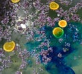 Lilac flowers and orange slices floating on water Royalty Free Stock Photo