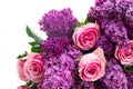 Lilac flowers with roses Royalty Free Stock Photo