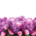 Lilac flowers with roses Royalty Free Stock Photo