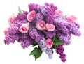 Lilac flowers with roses Royalty Free Stock Photo