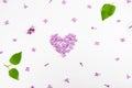 Lilac flowers in the shape of a heart. Isolated on white background. Royalty Free Stock Photo