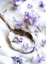 Lilac flowers sugar Royalty Free Stock Photo