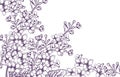 Lilac flowers Vector line art. Vintage retro old effect style illustrations Royalty Free Stock Photo