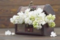 Lilac flowers in wooden vintage chest Royalty Free Stock Photo