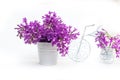 Lilac flowers on a white background decorated with small bike Royalty Free Stock Photo